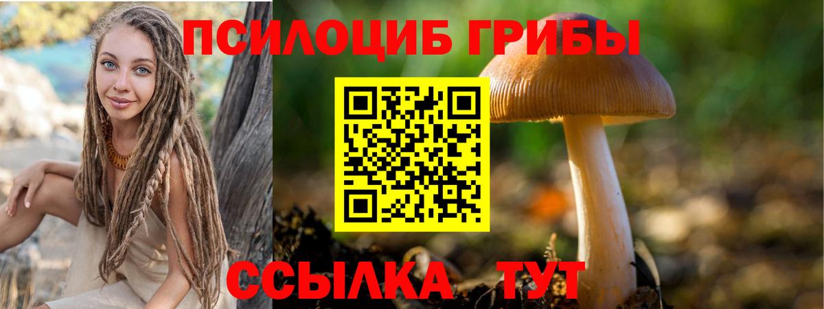 Тольятти  Галлюциногенные грибы Psilocybe  Псилоцибиновые грибы ЛСД  Вход с VPN 