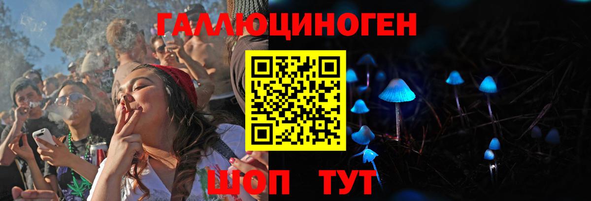 Псилоцибиновые грибы Psilocybine cubensis Тольятти